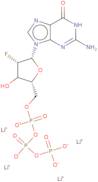 2'-Deoxy-2'-fluoroguanosine-5'-triphosphate lithium salt - 100mM aqueous solution