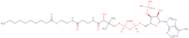 Decanoyl coenzyme A, free acid