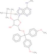 2'-tert-Butyldimethylsilyl-5'-DMT-N6-methyladenosine