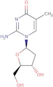 2'-Deoxy-5-methyl-isocytidine