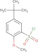 5-tert-Butyl-2-methoxy-benzenesulfonyl chloride