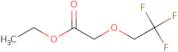 Ethyl 2-(2,2,2-trifluoroethoxy)acetate