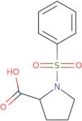 (2S)-1-(Benzenesulfonyl)pyrrolidine-2-carboxylic acid