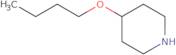 4-Butoxypiperidine