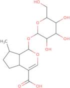 (4aR,7aR)-7-Methyl-1-[3,4,5-trihydroxy-6-(hydroxymethyl)oxan-2-yl]oxy-1,4a,5,6,7,7a-hexahydrocyclopenta[C]pyran-4-carboxylic acid