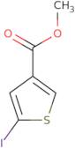 Methyl 5-iodothiophene-3-carboxylate