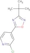 4-(3-tert-Butyl-1,2,4-oxadiazol-5-yl)-2-chloropyridine