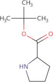 tert-Butyl pyrrolidine-2-carboxylate