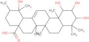 1β,2α,3β,19α-Tetrahydroxy-12-ursen-28-oic acid