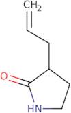 3-(Prop-2-en-1-yl)pyrrolidin-2-one
