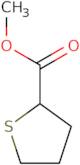 Methyl thiolane-2-carboxylate