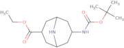 Ethyl 7-(tert-Boc-amino)-9-azabicyclo[3.3.1]nonane-3-carboxylate