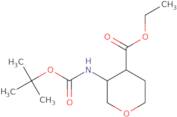 Cis-ethyl 3-(Boc-amino)-tetrahydro-2H-pyran-4-carboxylate