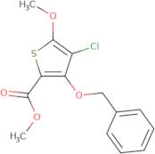 Bombinin-like peptide (blp-1)