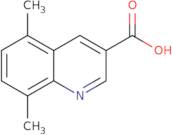 5,8-Dimethylquinoline-3-carboxylic acid