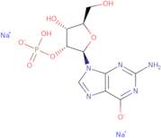 Guanosine-2'(&3')-monophosphate disodium (mixed isomers)