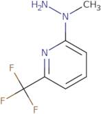 2-(1-Methylhydrazino)-6-(trifluoromethyl)pyridine