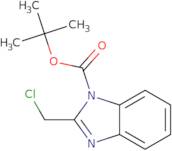 tert-Butyl 2-(chloromethyl)-1H-benzo[d]imidazole-1-carboxylate