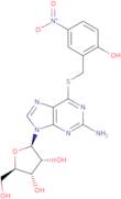 S-(2-Hydroxy-5-nitrobenzoyl)-6-thioguanosine