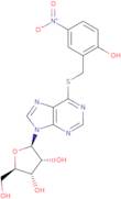 S-(2-Hydroxy-5-nitrobenzoyl)-6-thioinosine