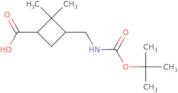 cis-3-(tert-butoxycarbonylamino-methyl)-2,2-dimethyl-cyclobutanecarboxylic acid