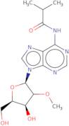 N6-Isobutyryl-2'-O-methyladenosine