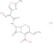 Cefdinir monohydrate