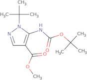 5-tert-Butoxycarbonylamino-1-tert-butyl-1H-pyrazole-4-carboxylic acid methyl ester