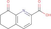 8-Oxo-5,6,7,8-tetrahydroquinoline-2-carboxylic acid