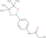 4-(2-Bromoacetamido)phenylboronic acid pinacol ester