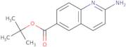 2-Aminoquinoline-6-carboxylic acid tert-butyl ester