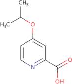 4-(Propan-2-yloxy)pyridine-2-carboxylic acid
