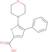 5-(Morpholin-4-yl)-4-phenylthiophene-2-carboxylic acid