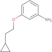 3-(2-Cyclopropylethoxy)aniline