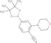 2-Morpholino-4-(4,4,5,5-tetramethyl-1,3,2-dioxaborolan-2-yl)benzonitrile