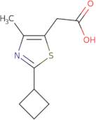 2-(2-Cyclobutyl-4-methylthiazol-5-yl)acetic acid