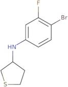 N-(4-Bromo-3-fluorophenyl)thiolan-3-amine