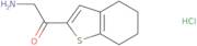 2-Amino-1-(4,5,6,7-tetrahydro-1-benzothiophen-2-yl)ethan-1-one hydrochloride