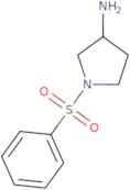 1-(Benzenesulfonyl)pyrrolidin-3-amine