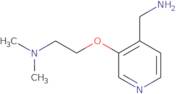 {3-[2-(Dimethylamino)ethoxy]pyridin-4-yl}methanamine