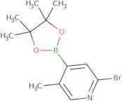 5-Aminobenzo[d]thiazole-2-carbonitrile