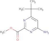 Methyl 4-amino-6-tert-butylpyrimidine-2-carboxylate