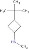 3-tert-Butyl-N-methylcyclobutan-1-amine