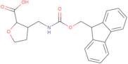 rac-(2R,3R)-3-[({[(9H-Fluoren-9-yl)methoxy]carbonyl}amino)methyl]oxolane-2-carboxylic acid