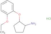 rac-(1R,2S)-2-(2-Ethoxyphenoxy)cyclopentan-1-amine hydrochloride