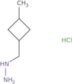 [(3-Methylcyclobutyl)methyl]hydrazine hydrochloride