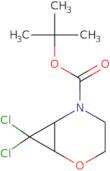 tert-Butyl 7,7-dichloro-2-oxa-5-azabicyclo[4.1.0]heptane-5-carboxylate