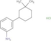 3-(3,3-Dimethylcyclohexyl)aniline hydrochloride