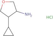 4-Cyclopropyloxolan-3-amine hydrochloride