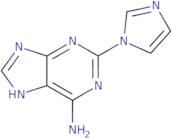 2-(1H-Imidazol-1-yl)-1H-purin-6-amine